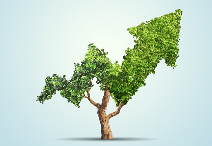 5 Eco-Investments You Can Hold in Your Self-Directed IRA